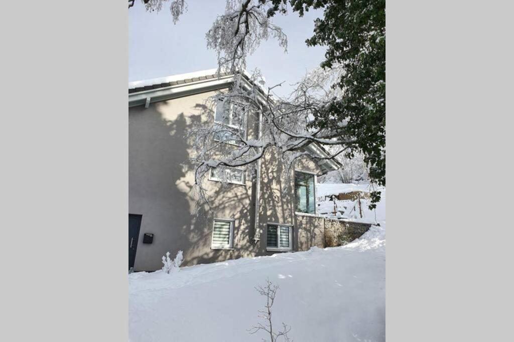 Ferienwohnung Am Musbach In Badenweiler-Sehringen 외부 사진