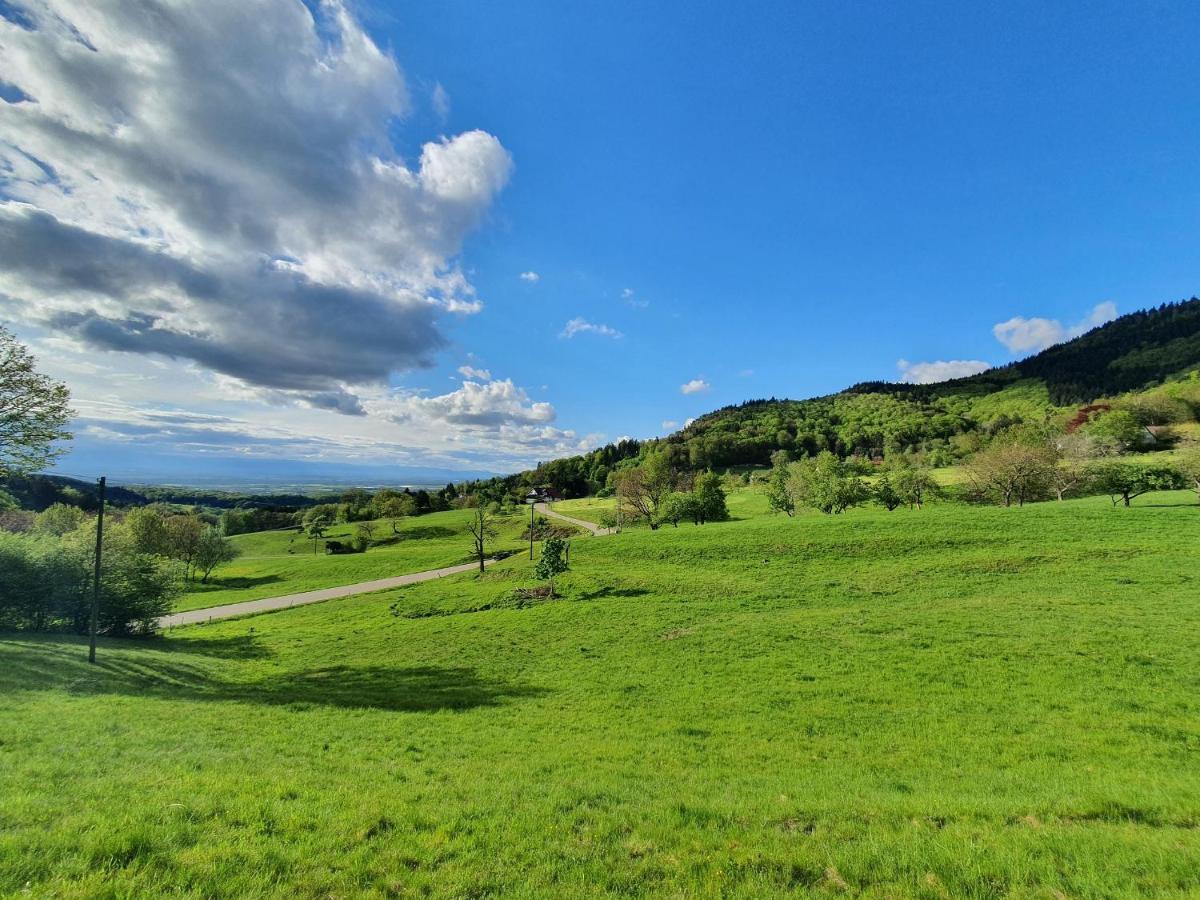 Ferienwohnung Am Musbach In Badenweiler-Sehringen 외부 사진